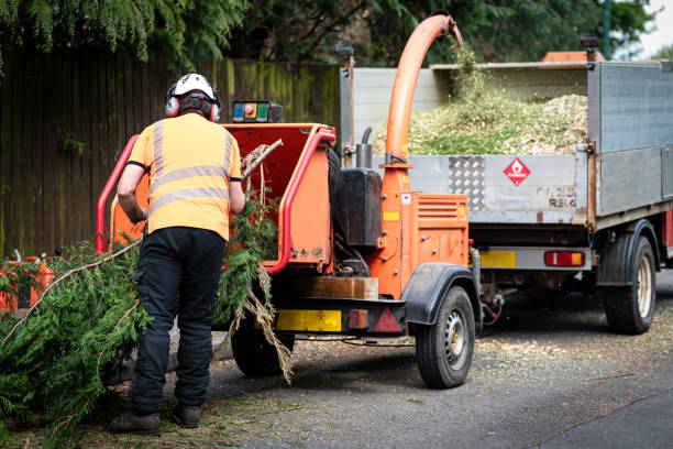 Lawn Drainage Solutions in East Hampton North, NY